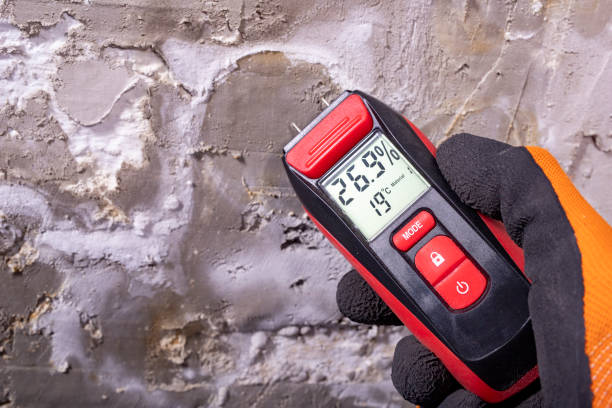 Best Mold Cleaning Services  in Deer Park, NY